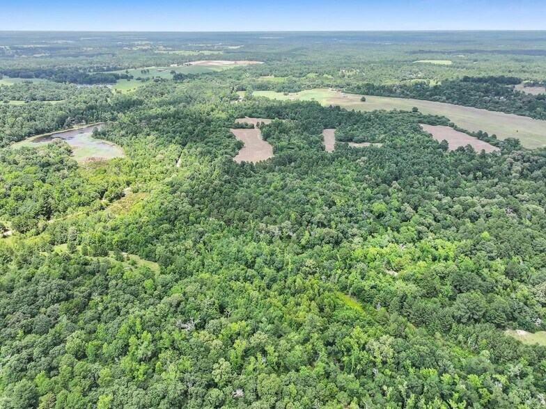 More Photos Of 8323 County Road 292, Buffalo Land For Sale