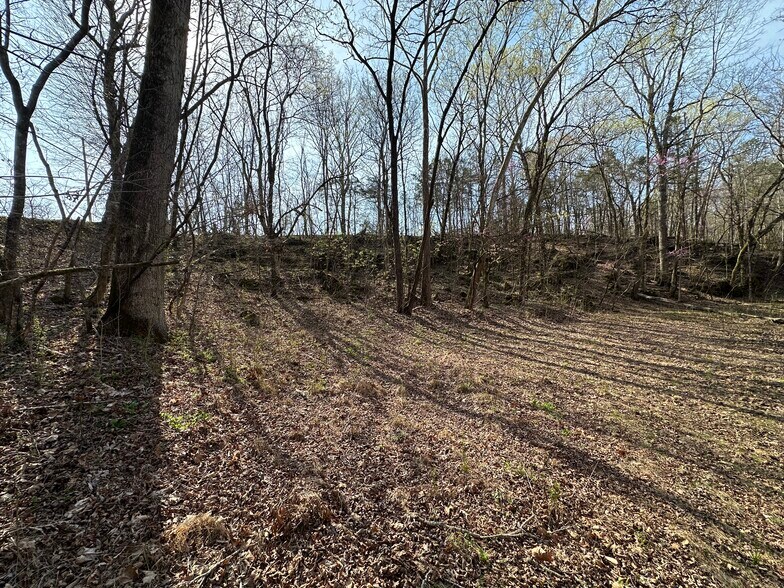 More Photos Of 7312 Highway 60, Georgetown Land For Sale