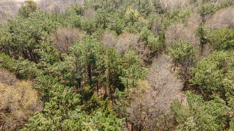 More Photos Of 16558 State Highway 155, Tyler Land For Sale