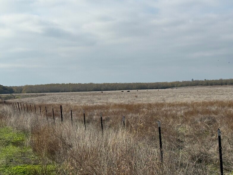 More Photos Of Dunton Rd @ CA Hwy 4, Oakdale Land For Sale