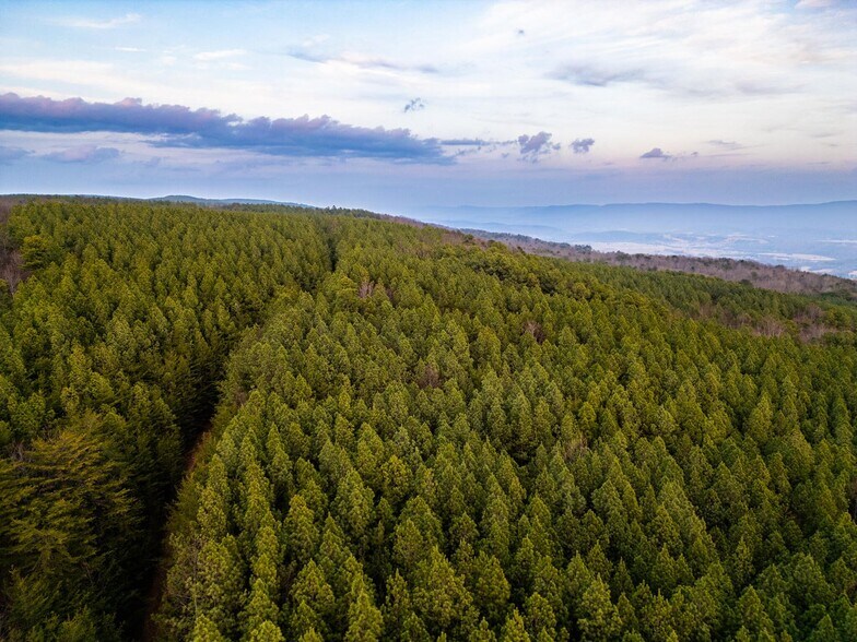 More Photos Of 762 Smith Mountain Rd, Dunlap Land For Sale