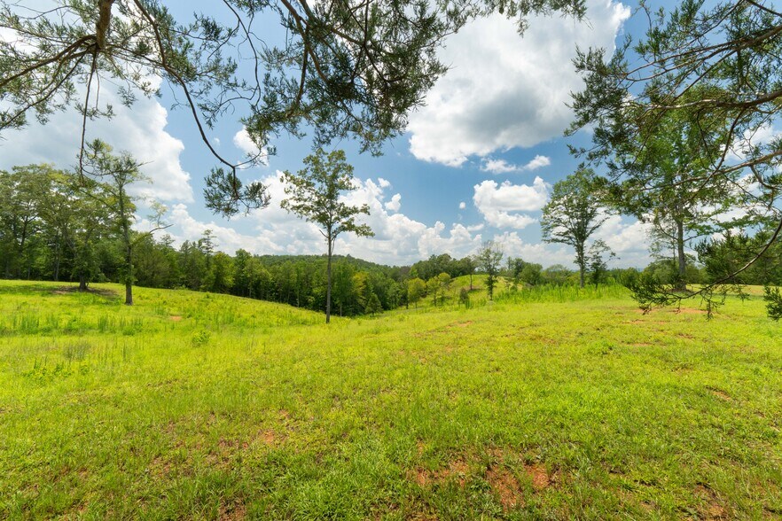 More Photos Of 1310 County Road 269, Wedowee Land For Sale