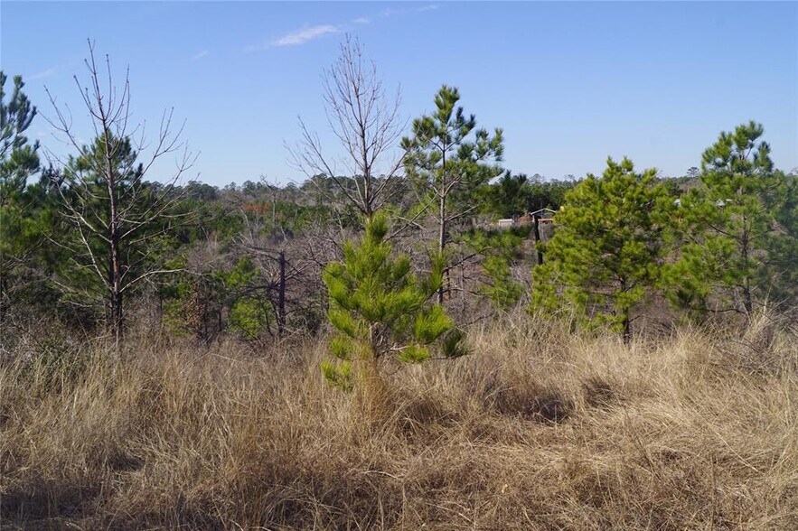 More Photos Of 488 Kelley Rd, Bastrop Land For Sale