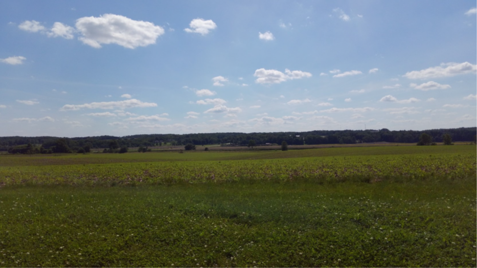 More Photos Of 1699 Old Mansfield Rd, Wooster Multifamily For Sale