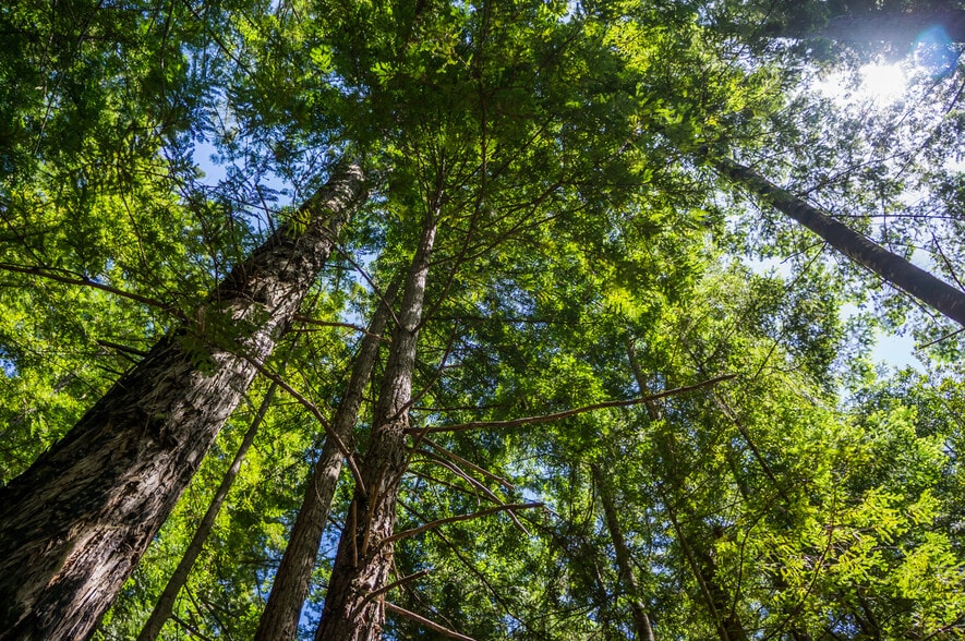 More Photos Of 16401 South Highway 1, Manchester Land For Sale