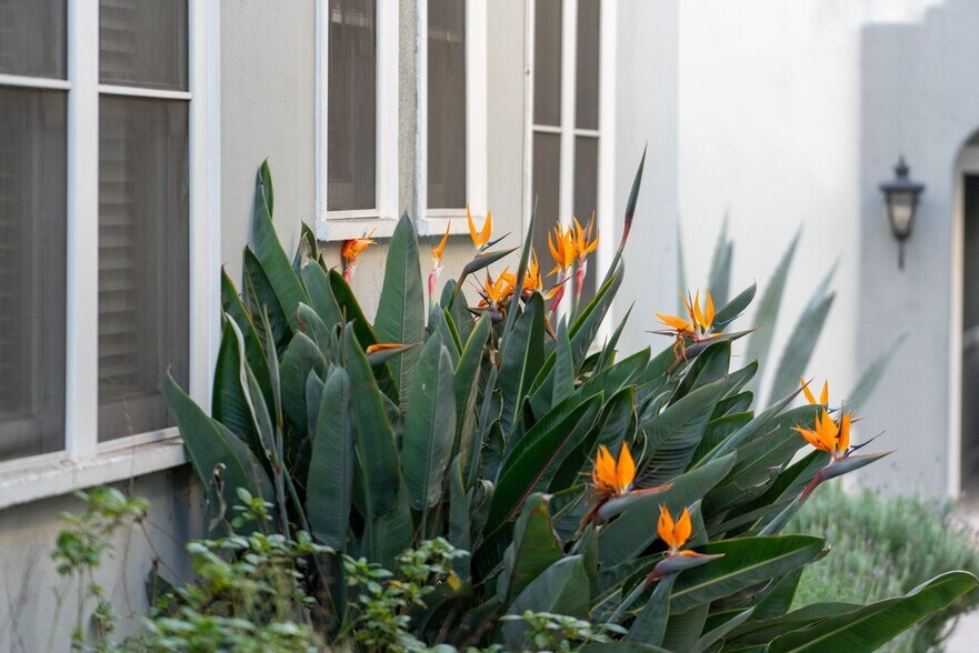 More Photos Of 107-111 N Columbus Ave, Glendale Apartments For Sale