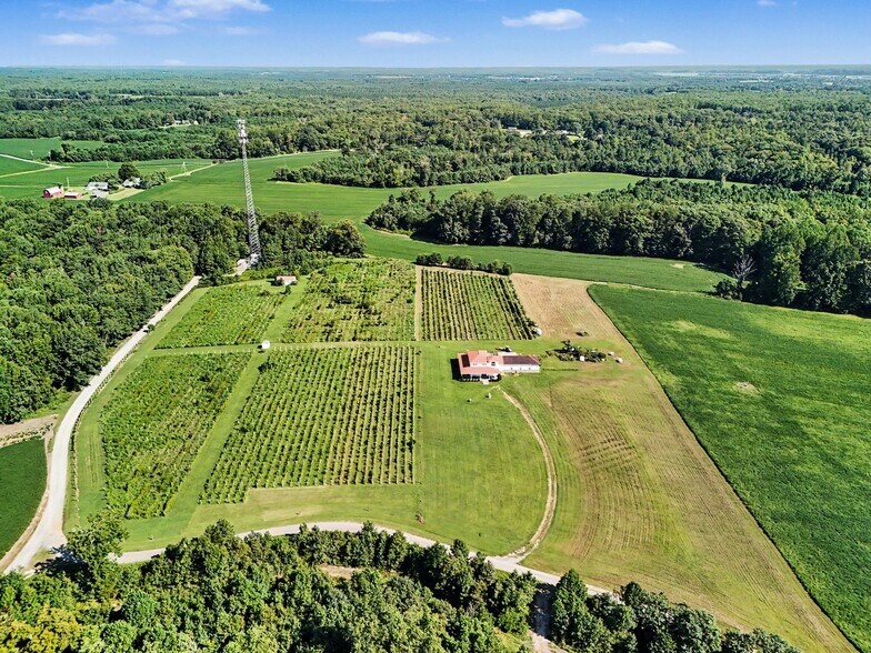 More Photos Of 495 Meadow Landing Ln, Caret Winery Vineyard For Sale
