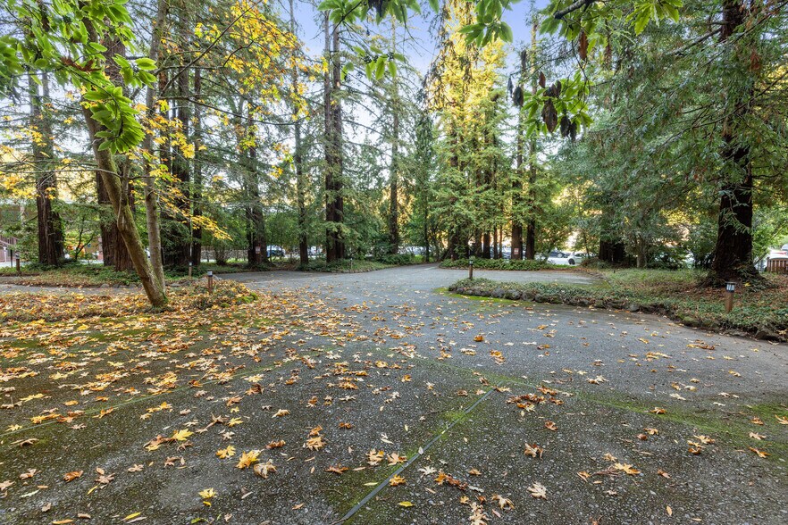 More Photos Of 42 Miller Ave, Mill Valley Office Residential For Sale