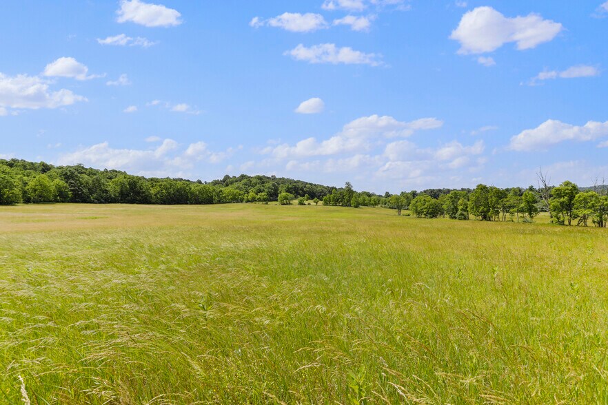 More Photos Of 3648 Dominion Rd, Gerrardstown Land For Sale