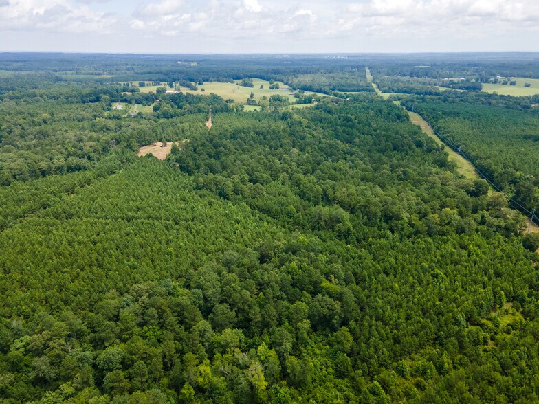 More Photos Of 2539 FM 995, Atlanta Land For Sale