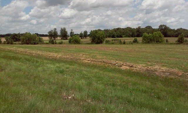 More Photos Of 2647 Ga-257, Dublin Land For Sale