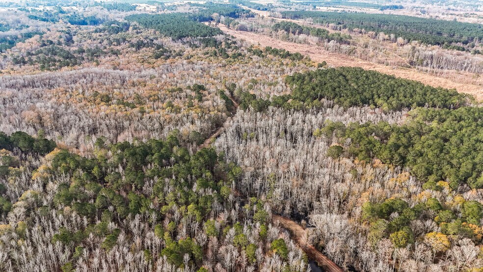 More Photos Of 409 Windward Ave, Orangeburg Land For Sale