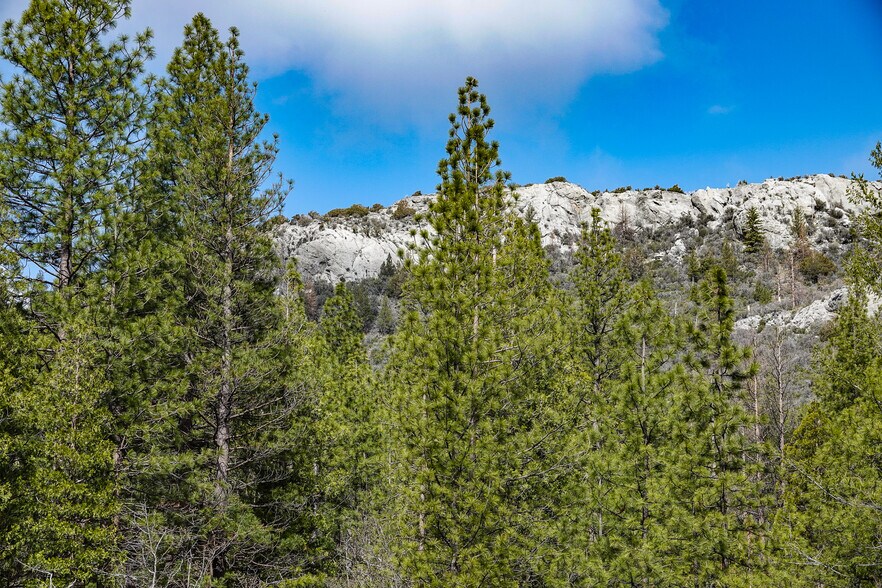 More Photos Of 6409 Kangaroo Creek Rd, Gazelle Land For Sale