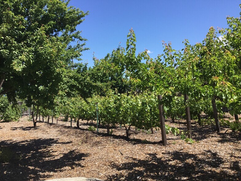 More Photos Of 75 Fremont Dr, Sonoma Storefront Retail Residential For Sale