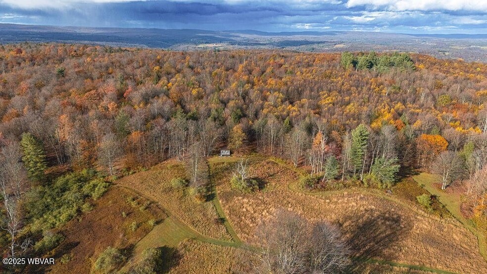 More Photos Of 1382 Bear Mountain Road, Forksville Flex For Sale