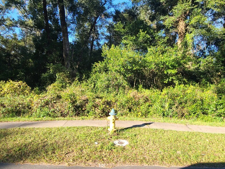 More Photos Of E New York Ave, Deland Land For Sale