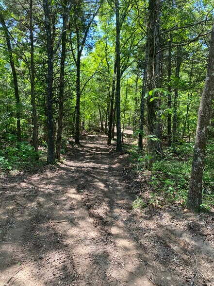 More Photos Of Creel Road @ Hwy 392, Harrison Land For Sale