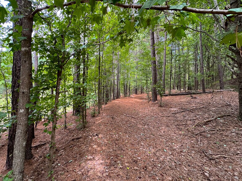 More Photos Of US 401 S Hwy, Youngsville Land For Sale