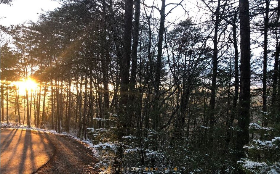 More Photos Of Blue Ridge Heights Drive @ Zell Miller Mountain Pkwy, Blue Ridge Land For Sale