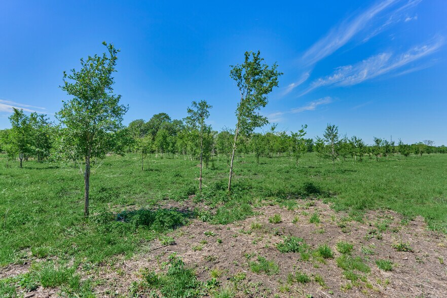 More Photos Of 27240 Old 105 W hwy, Dobbin Land For Sale