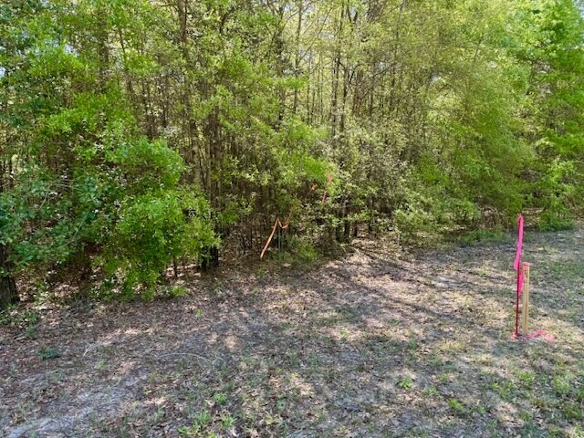 More Photos Of 000 Tanglewood Trail, Georgetown Land For Sale