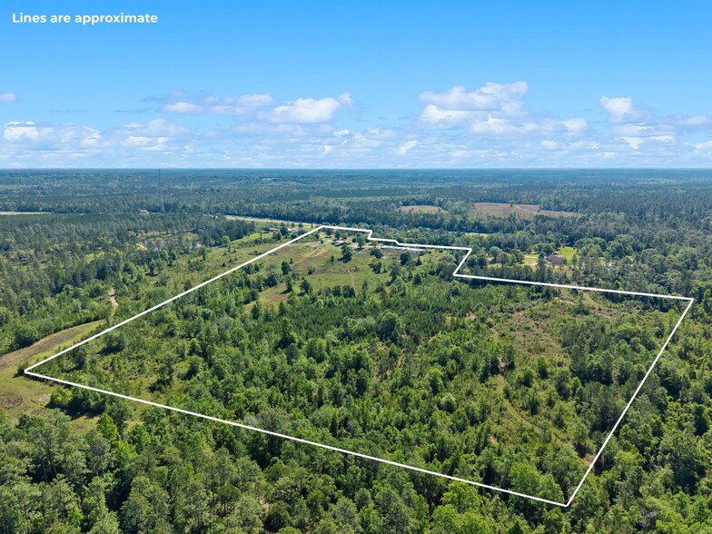 More Photos Of 39207 State Highway 59, Bay Minette Land For Sale