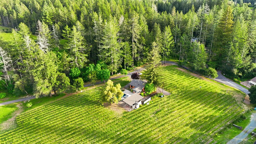 Primary Photo Of 425 Cold Springs Rd, Angwin Land For Sale