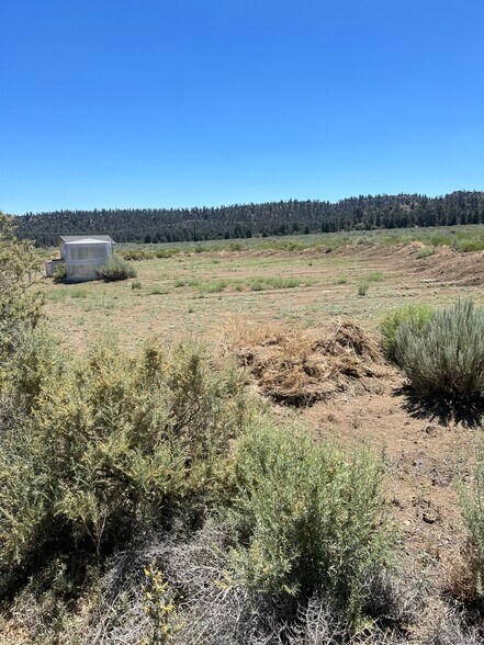 More Photos Of Mount Lilac Trail @ Chuchupate Trail, Frazier Park Land For Sale