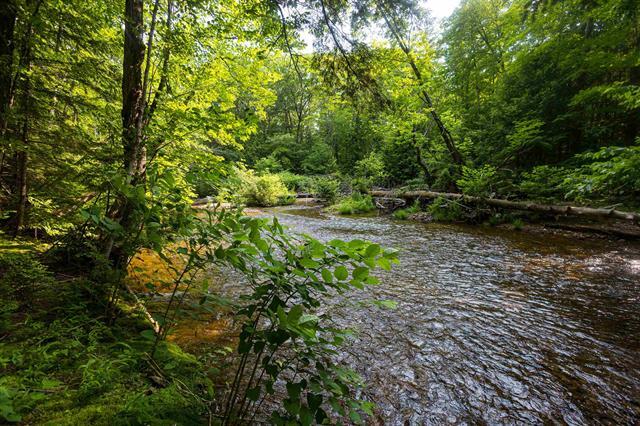 More Photos Of 527 Tamworth Rd, Tamworth Apartments For Sale