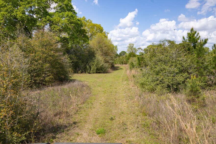 More Photos Of US 84 hwy, Newton Land For Sale