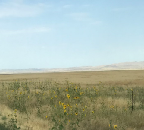 More Photos Of TBD Simco Rd, Mountain Home Land For Sale