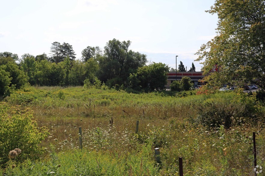 More Photos Of 20927 Dalton Rd, Georgina Land For Sale