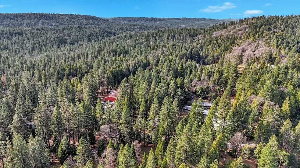 More Photos Of 14724 N Bloomfield Rd, Nevada City Flex For Sale