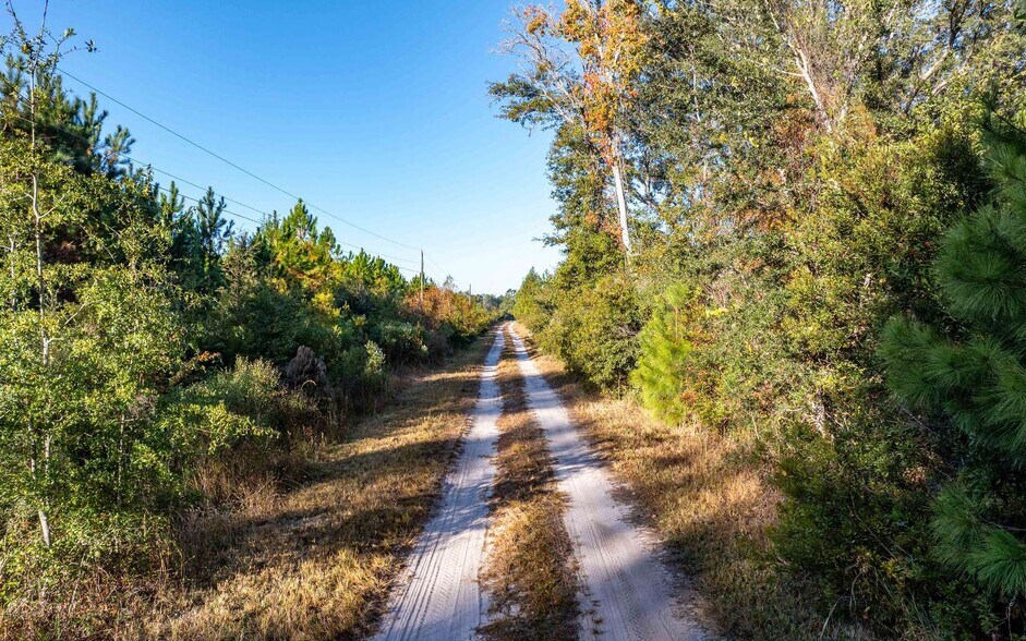 More Photos Of CR 137, Wellborn Land For Sale