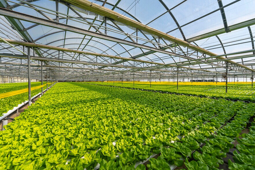 More Photos Of 2075 N Twin Oaks Valley Rd, San Marcos Garden Center For Lease