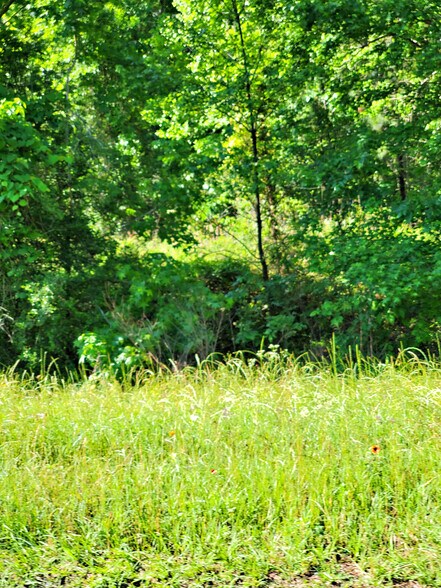 More Photos Of TBD Hwy. 96 N, Brookeland Land For Sale