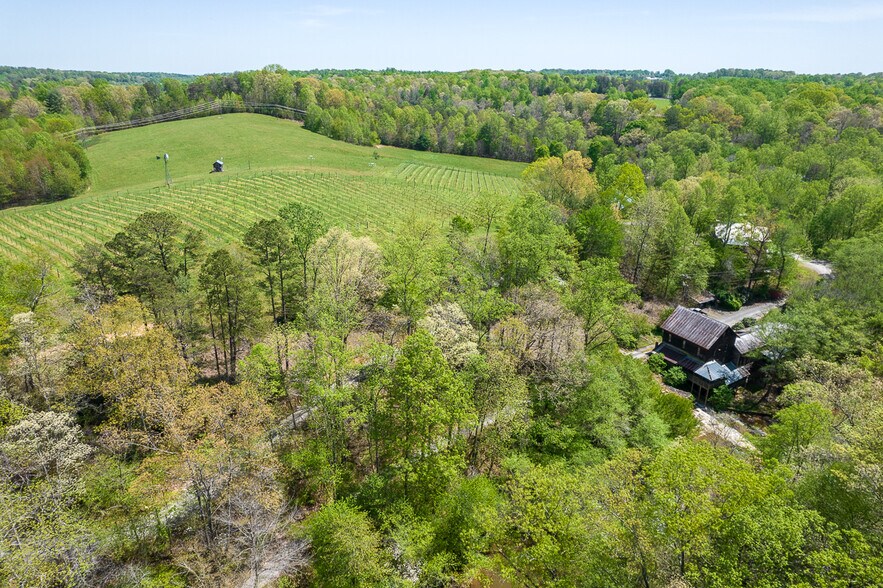 More Photos Of 318 Elkin Creek Mill Rd, Elkin Winery Vineyard For Sale