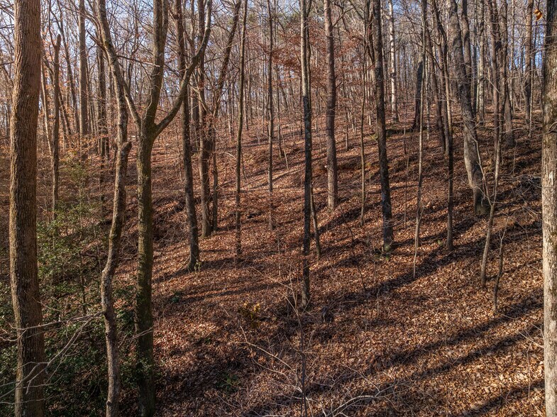 More Photos Of 00 Pittman Rd, Landrum Land For Sale