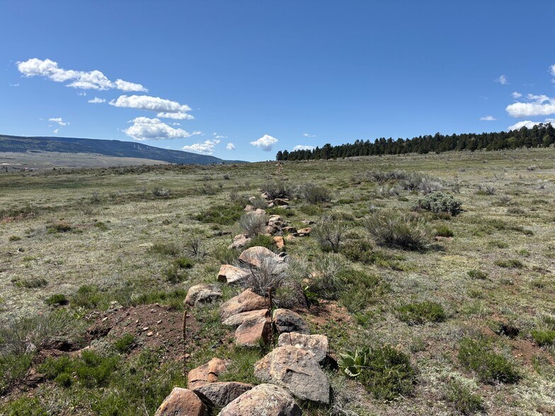 More Photos Of 27989 Highway 64, Eagle Nest Land For Sale