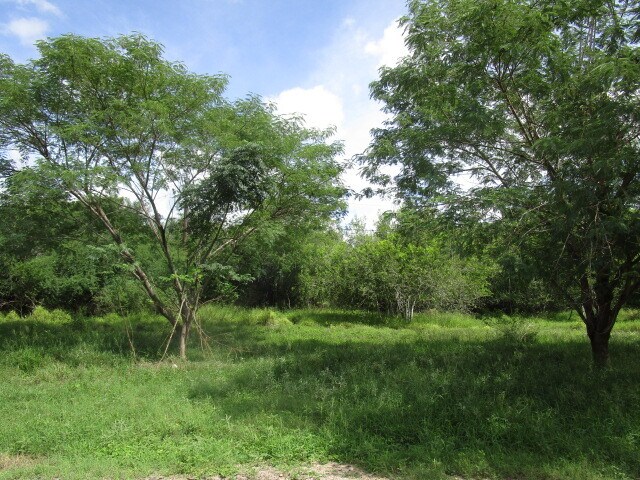 More Photos Of 25094 Chester Park Rd, Harlingen Land For Sale