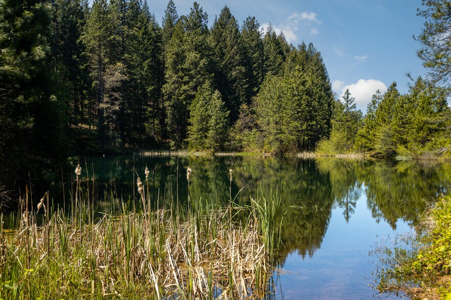 More Photos Of 31419 Hagen Flat rd, Big Bend Land For Sale