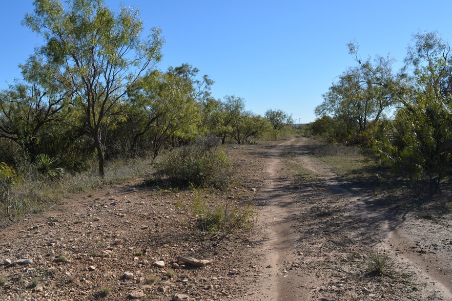 More Photos Of CR 1329, Paint Rock Land For Sale