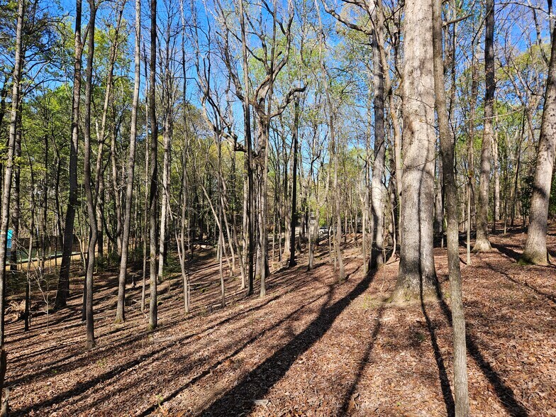 More Photos Of 3769 Rogers Bridge Rd, Duluth Land For Sale