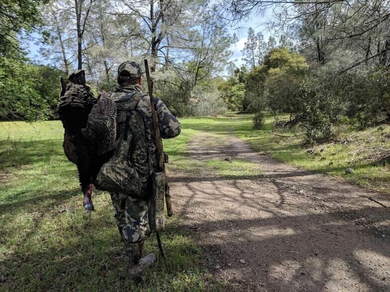 More Photos Of 20475-2047 County 57 rd, Guinda Land For Sale