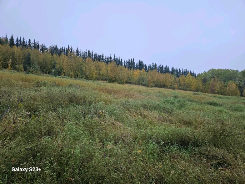 More Photos Of Ski Boot Hill Rd @ Solitude Way, Fairbanks Land For Sale