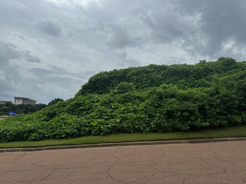 More Photos Of 10 Grand Soleil Boulevard, Natchez Land For Sale