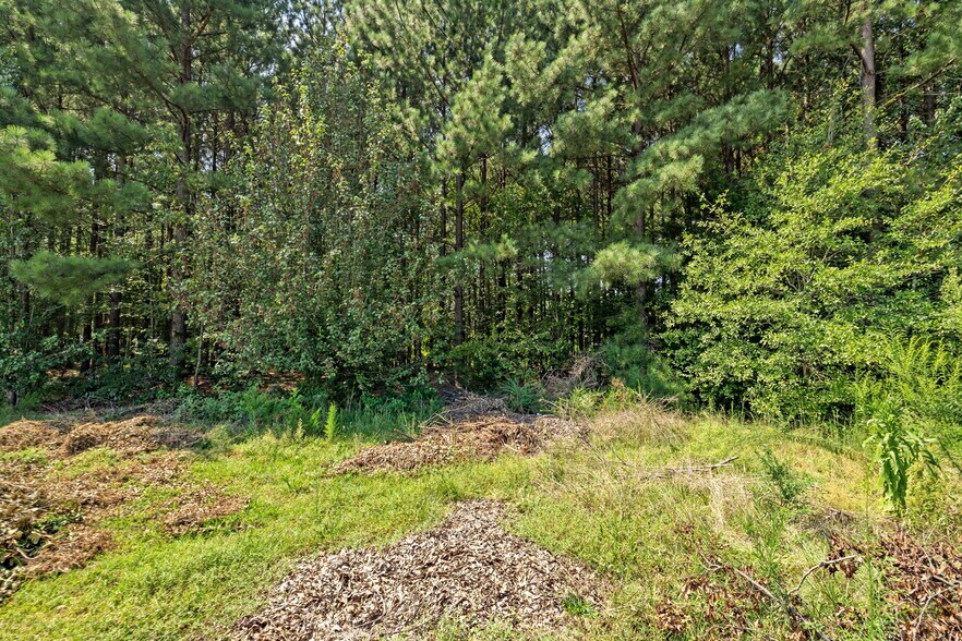 More Photos Of 1244 E Butler Rd, Greenville Land For Sale
