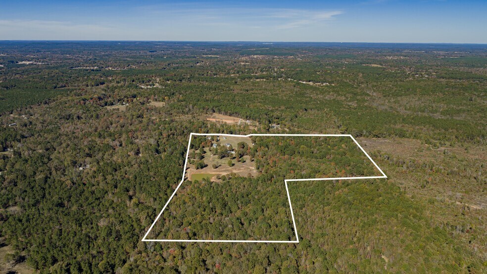 More Photos Of 12806 Wood Rd, Diana Land For Sale