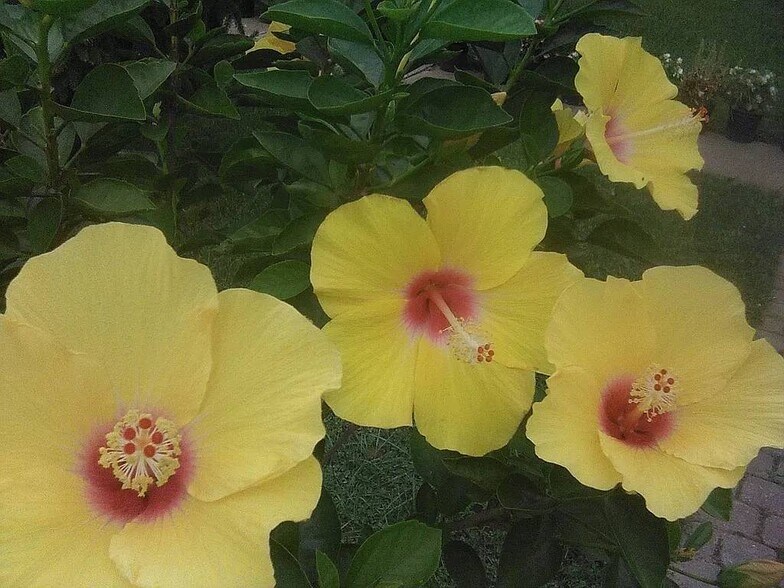 More Photos Of 2038 Grant Ave, Philadelphia Specialty For Sale