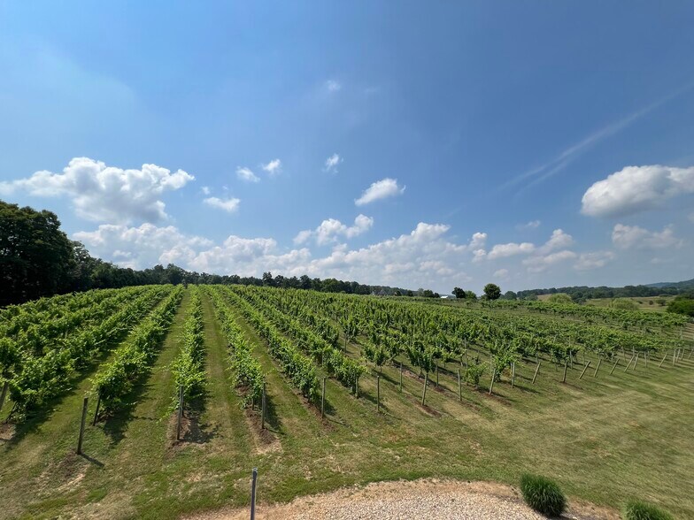 More Photos Of 2110 Quicksburg Rd, Quicksburg Land For Sale